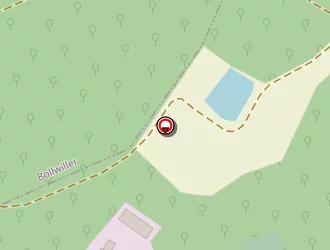 Carte de Boespflug Roland à Staffelfelden