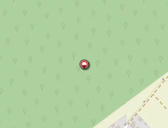 Carte de Doepper Stéphan à Auxerre