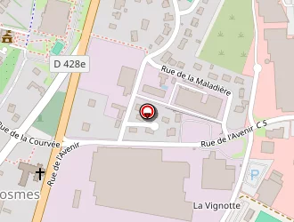 Carte de Magnier Etfils à Saints-geosmes