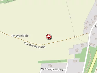 Carte de Frindel Eric à Chalampé