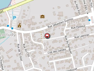 Carte de Ventham Sarah à Loctudy