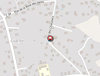 Carte de Rineau Patrick à Riec-sur-belon