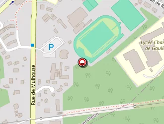 Carte de D.p. Paysagiste à Pulversheim