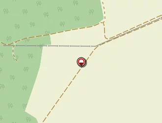 Carte de Ligibel Thierry à Ruelisheim