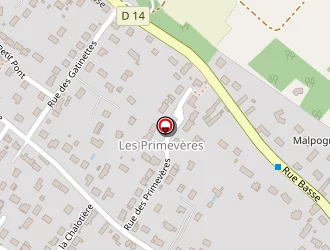 Carte de Devuldere Roland à Saint-cyr-en-val