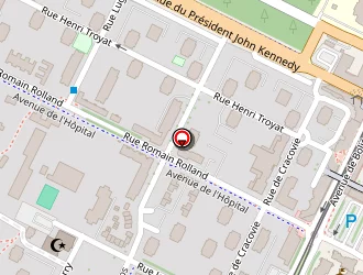 Carte de Chicken Spot à Orléans