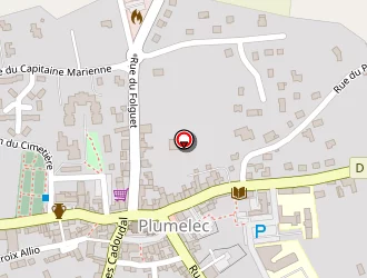 Carte de Pharmacie Rousteau à Plumelec