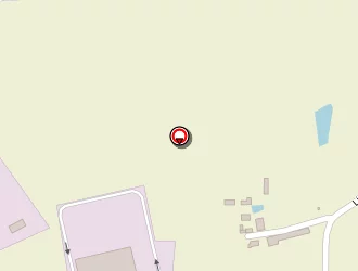 Carte de Phénix Gibier à Azé