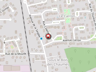 Carte de Ducrot à Monéteau