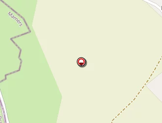 Carte de Cousin Aristide à Cellé