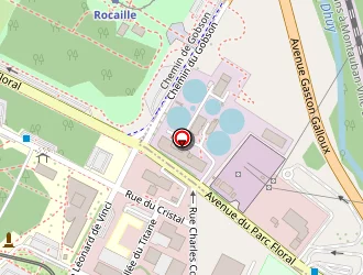 Carte de Synerlab-développement à Orléans