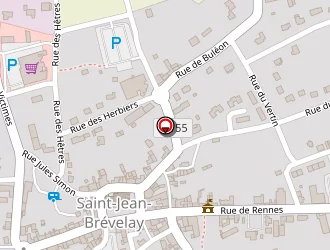 Carte de Bm Informatique à Saint-jean-brévelay