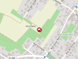 Carte de Schmidt Marcel à Berrwiller