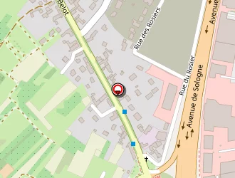 Carte de Dubois Fils à Olivet