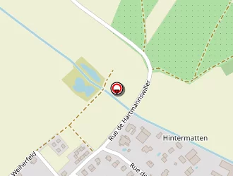 Carte de Forster Michel à Berrwiller