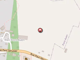 Carte de Asphodele Millenius à Pont-aven