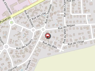 Carte de As Expertise à Ensisheim