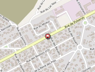 Carte de Maison Des Sociétés à Ensisheim