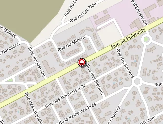 Carte de Gatto Massimo à Ensisheim