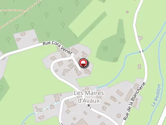 Carte de Vançon Rémy à Saint-bresson