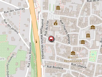 Carte de Viard Dominique à Langres