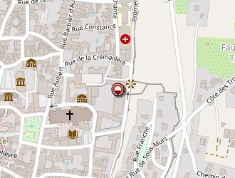 Carte de Schvartz Orthopédie à Langres