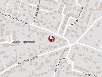 Carte de Sornique David à Châteauneuf-sur-loire