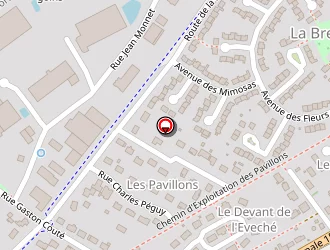 Carte de Benard à Saint-ay