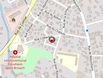 Carte de Doner Kebab Pamukkale à Ensisheim