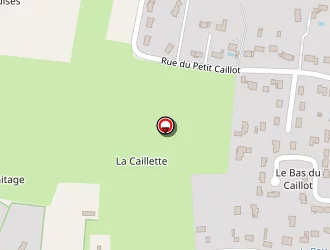 Carte de Renard à Saint-denis-en-val