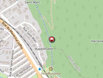 Carte de Kauffmann Michaël à Malmerspach