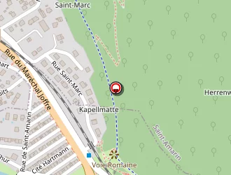 Carte de Alsace Fire Protection à Malmerspach