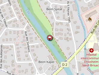 Carte de Mairie à Ensisheim