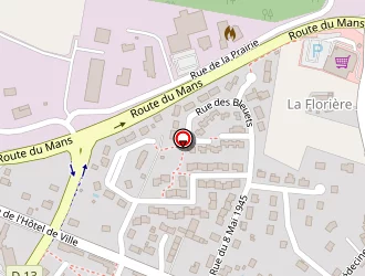 Carte de Dhl Freight à Grand-lucé (le)