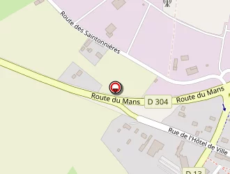 Carte de Alpha Ambulances à Grand-lucé (le)