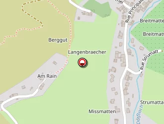 Carte de Rebischung Jean-claude à Mitzach