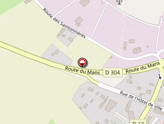 Carte de D.i.s.s. à Grand-lucé (le)