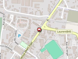 Carte de Rafignat Sylvain à Châteauneuf-sur-loire