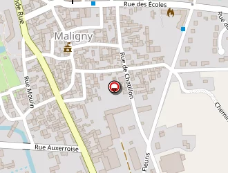 Carte de Planete Concept à Maligny