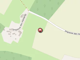 Carte de Marchand Mario à Grand-lucé (le)