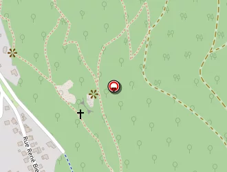 Carte de Flanzy Jacques à Saint-amarin