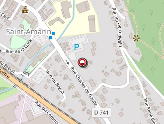 Carte de Gymnase Du Ces à Saint-amarin