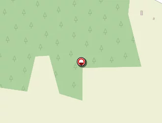 Carte de Collet Patrick à Monteneuf