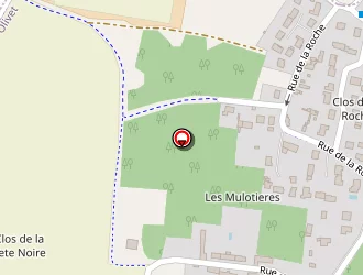 Carte de Bv Abraysie Conseil à Olivet