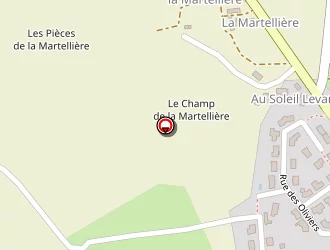 Carte de Dalibard Emmanuel à Loigné-sur-mayenne