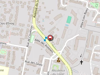 Carte de Mickey Bar à Olivet