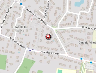 Carte de Forcellino Gilles à Olivet