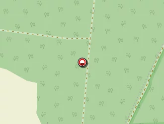 Carte de Kessler à Ensisheim