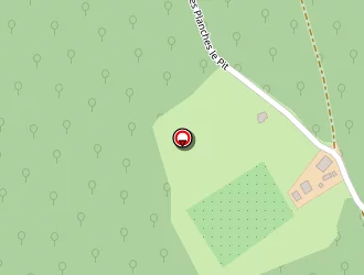 Carte de Lepaul Guy à Saint-bresson