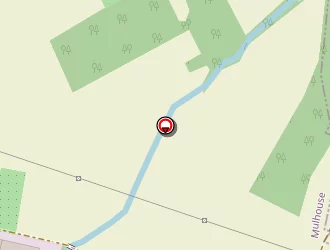 Carte de E.peveri à Ungersheim